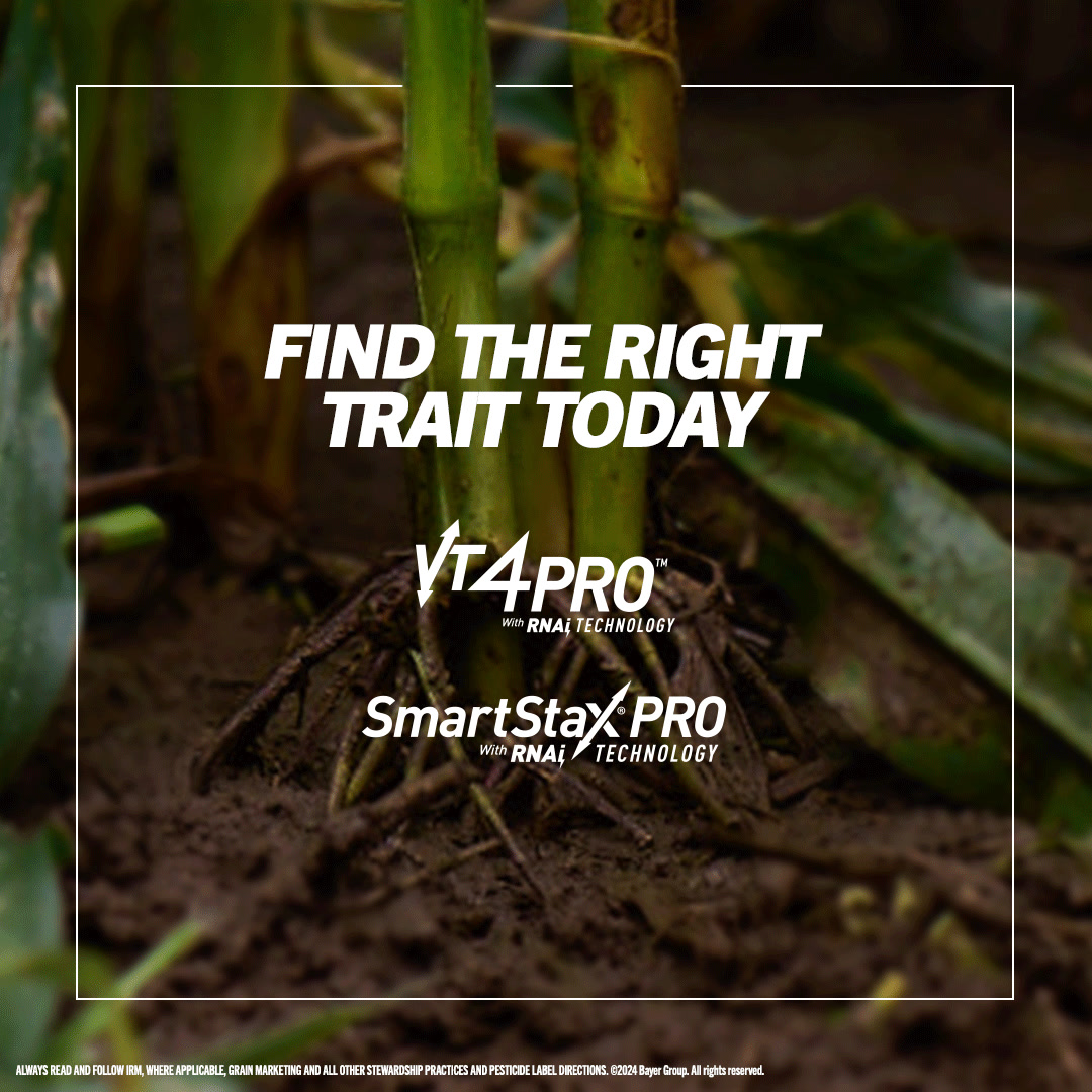 Meet the New Smart Corn System at the Field of Dreams | Get the short ...