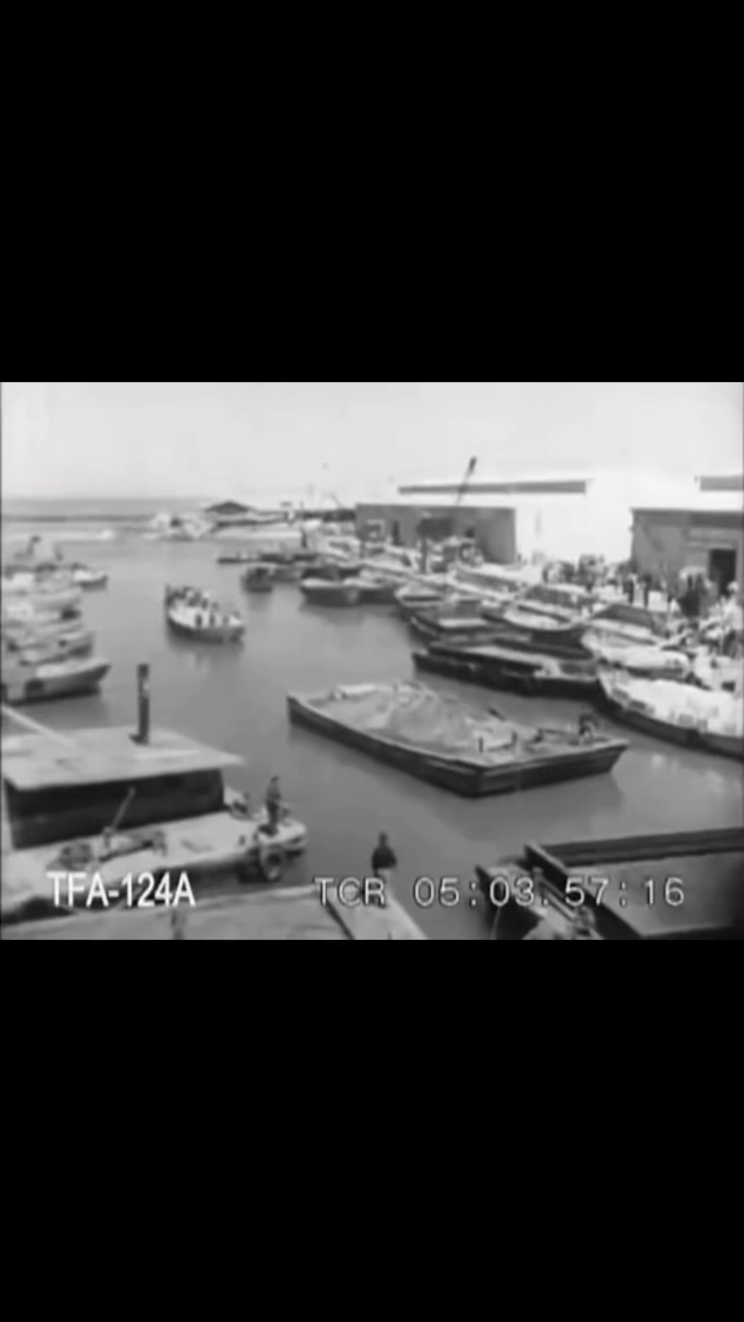 يافا (عروس البحر)