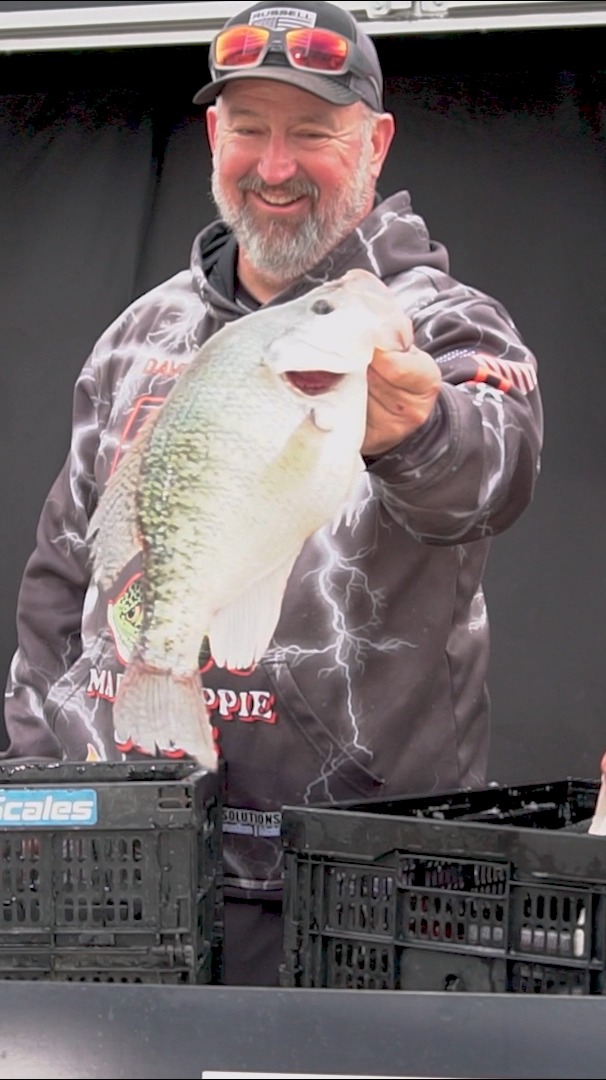 Toppa Ricamata American Crappie – 4 7/8 Pollici – Nuova