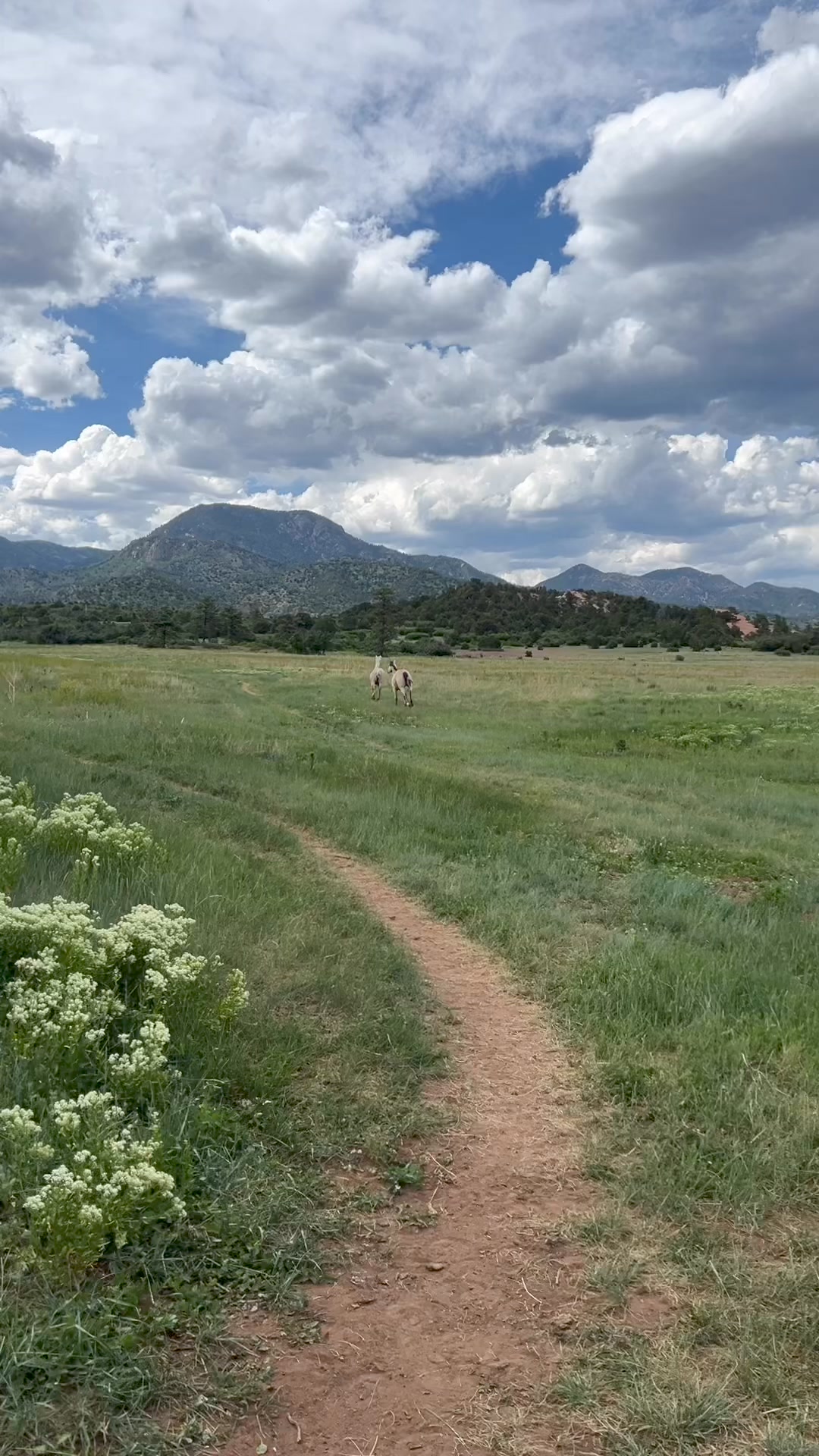 Hitch Rack Ranch | Colorado Springs CO