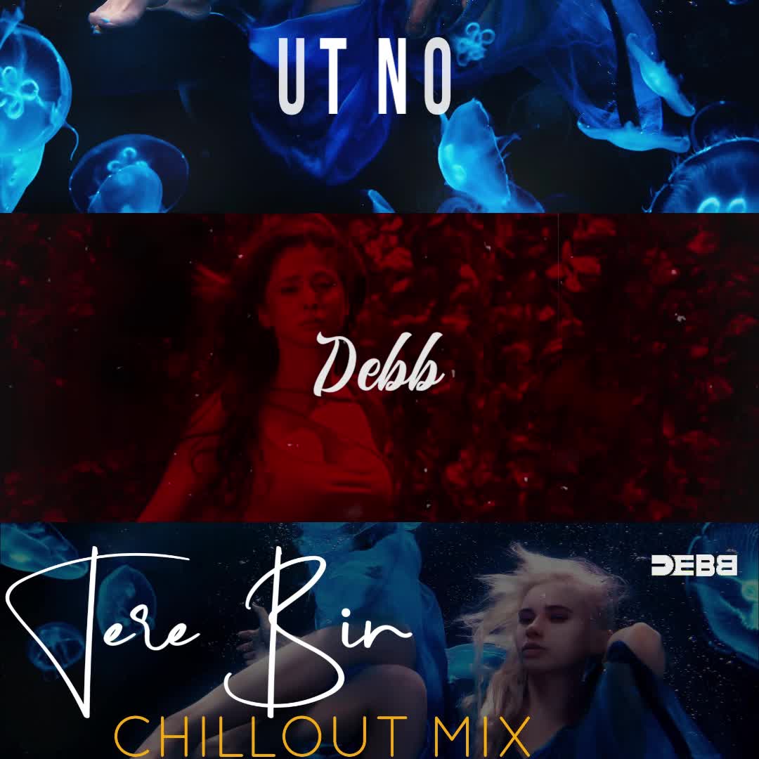 Debb