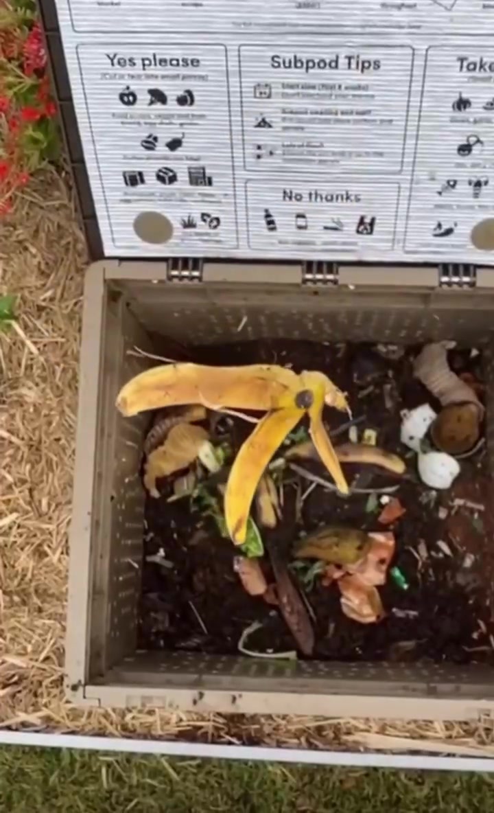 ♻️Did you know that the average of our weekly food waste is ≈7kg? 🗑But ...