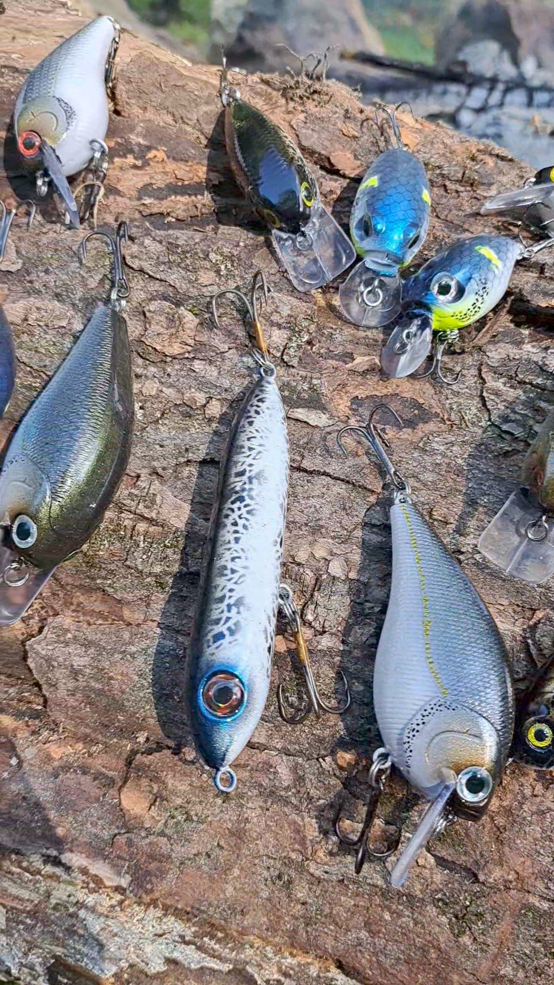 cheap fly fishing pole TFO Pilot Rod Kit 9ft 8wt Option:Bluefish The reel come pre DUO Seabass Fishing Soft Hags Outlier Frog