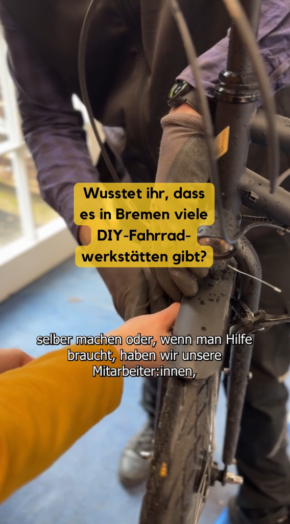 damen fahrradsattel selle royal Lookin moderater kühlender Xsenium für Damen, schwarz, 160 mm Sport & Freizeit Kalkhoff e bike damen suspensionDe:E-Fully Farbe:aubergine