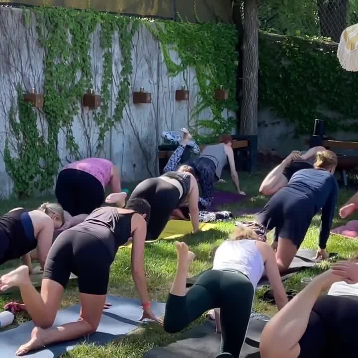 Lotus House of Yoga - Home