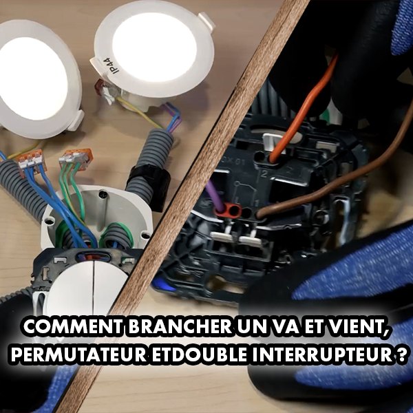 Kit 6 épices en poudre bio | Truffaut
