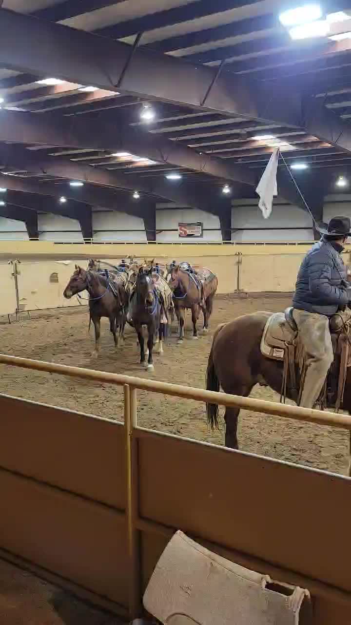 7S Land and Cattle LLC