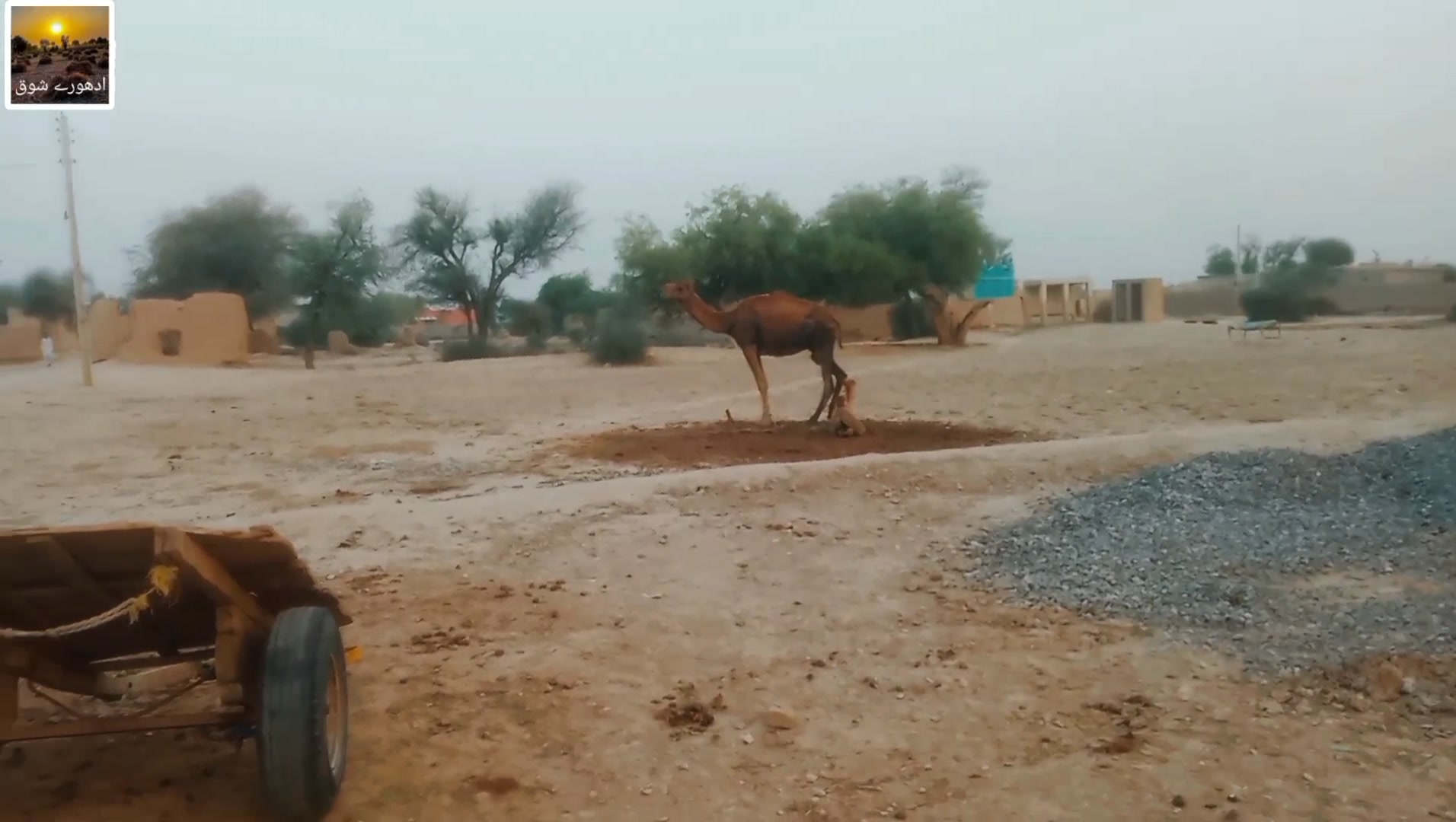 سک دیاں تلخیاں۔۔ آواز سئیں ابراھیم بلوچ | ادھورے شوق | Facebook