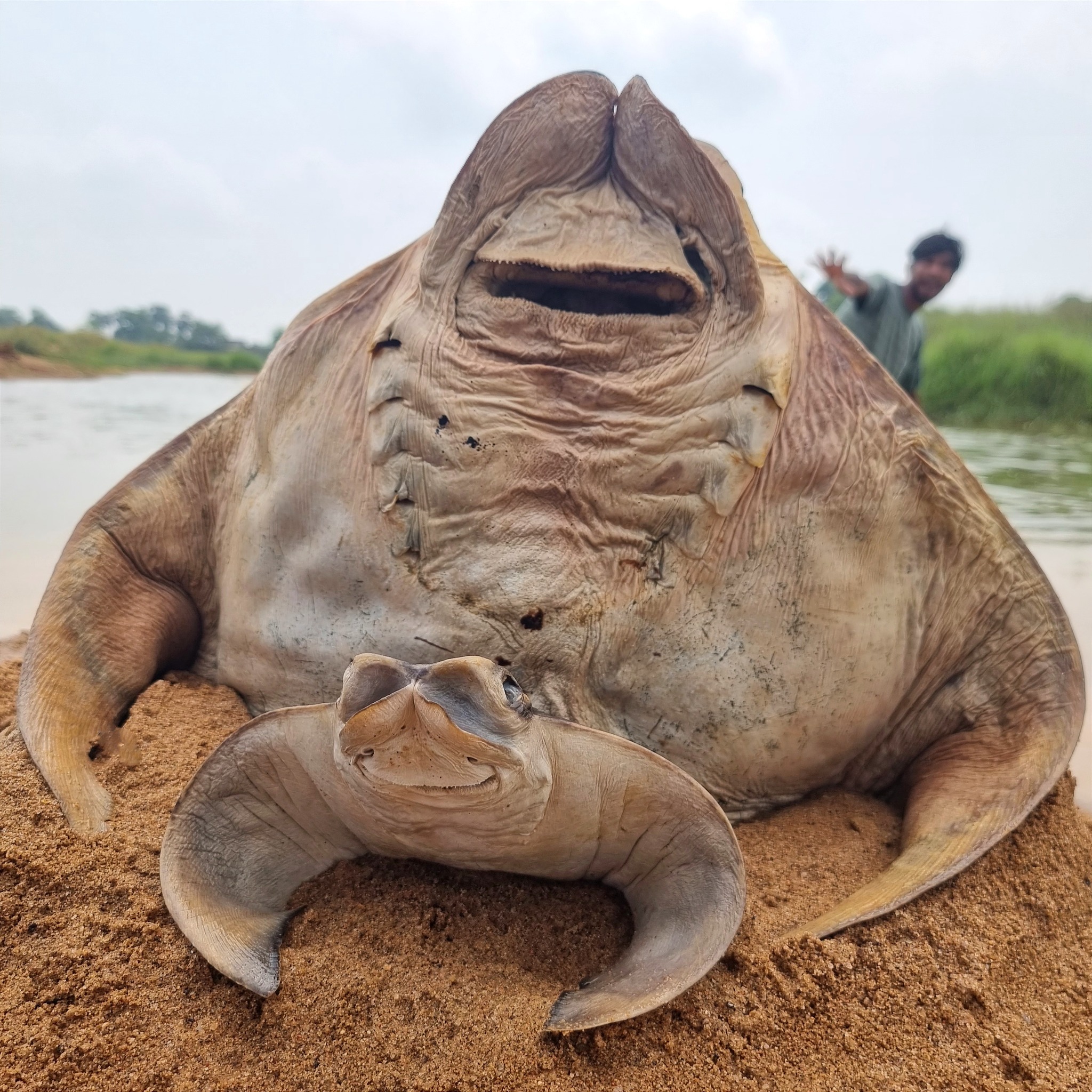 Amazing hand fishing video river dry place underground catching big ...