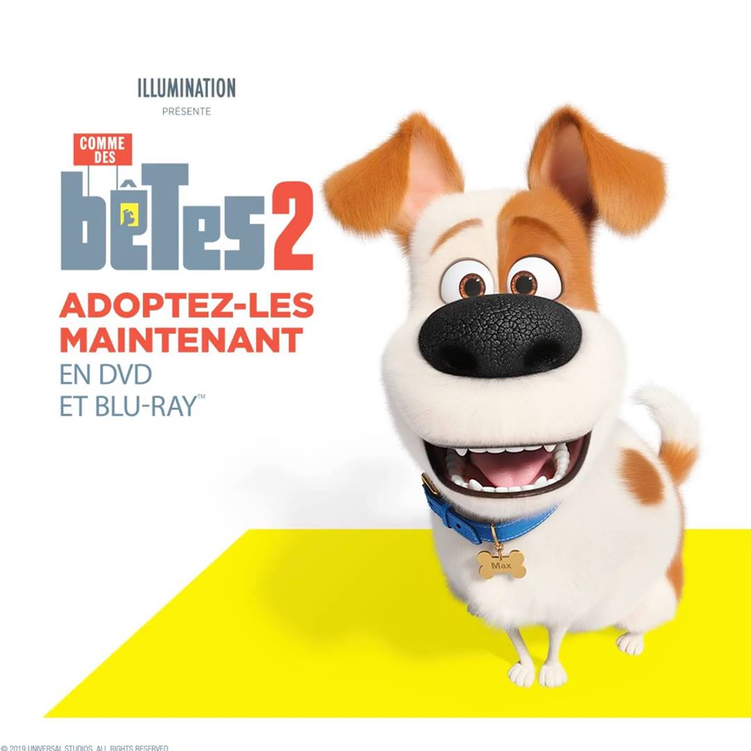 Comme Des Betes 2 Streming Vf