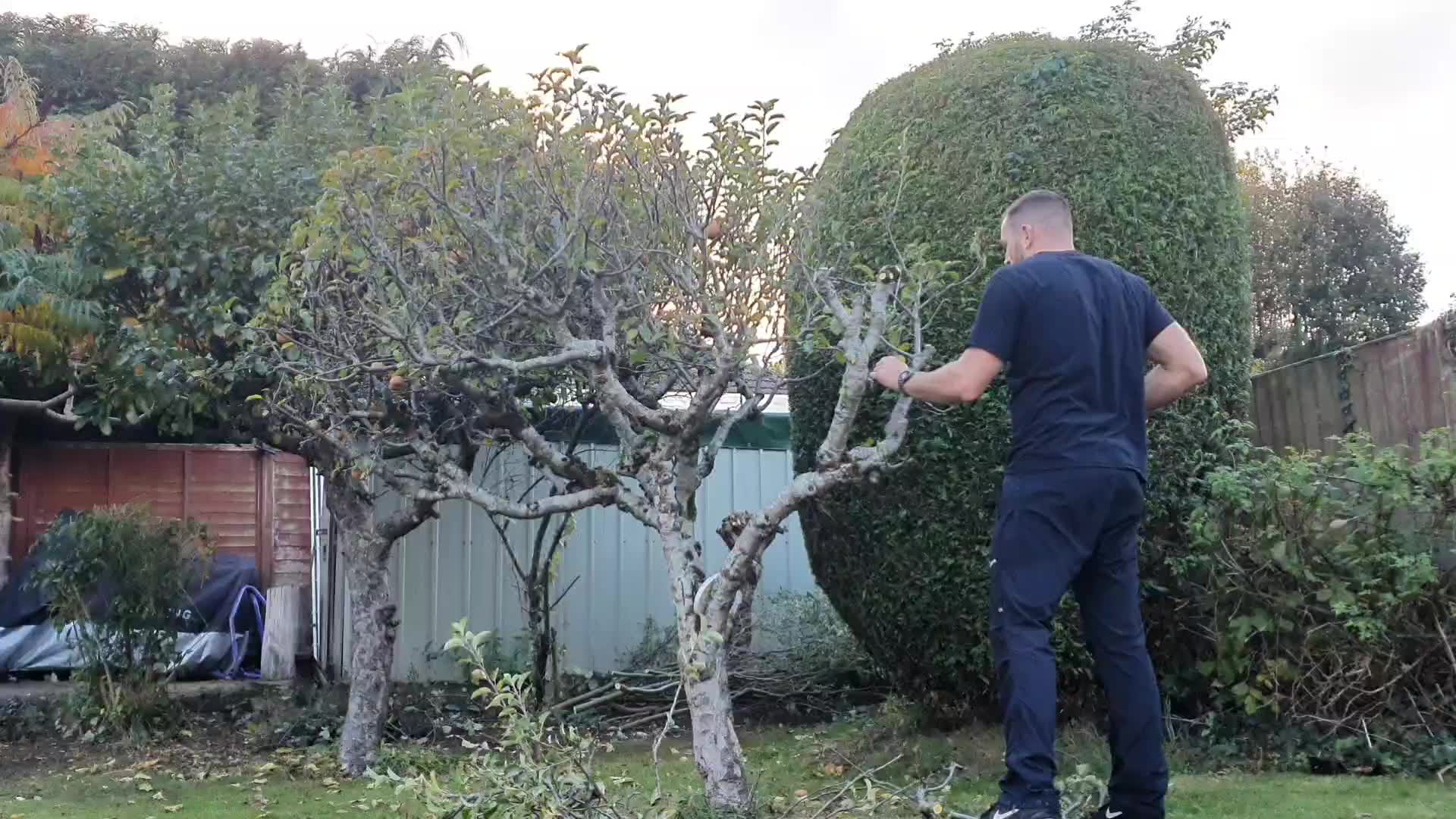 B Draper TREE Services