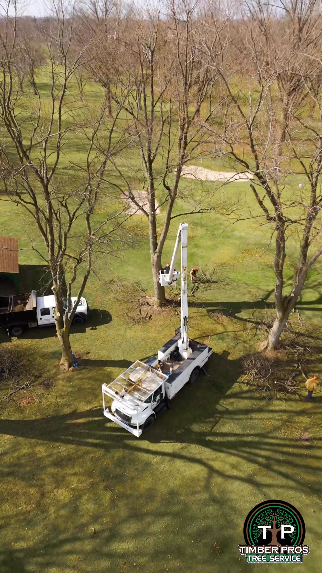 Timber Pros | Kokomo IN