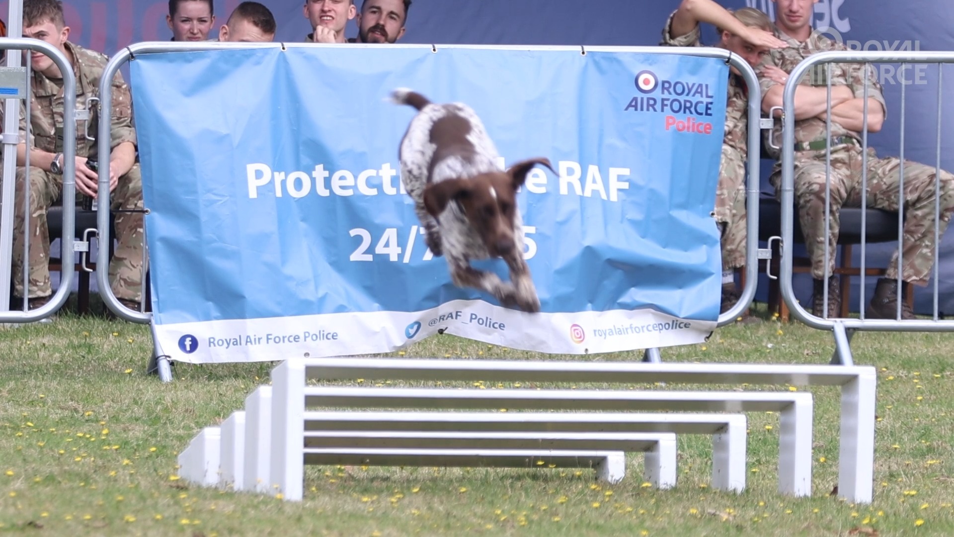 Another opportunity to see our RAF Police Military Working Dogs in ...