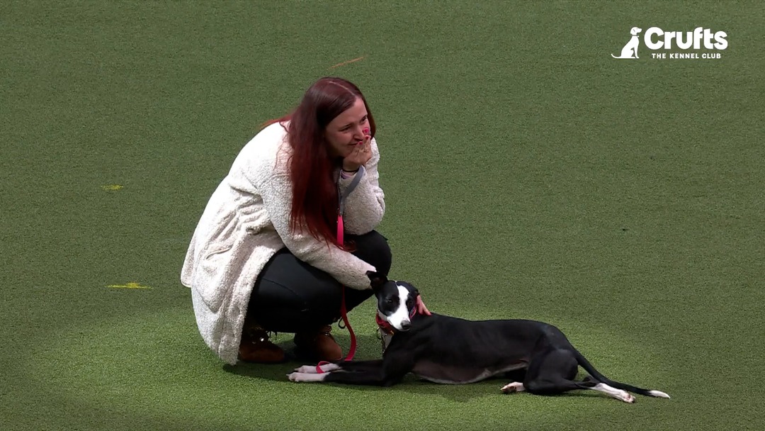 Your 2025 Scruffts Winner is here, and it's the incredible Lola🐕💖 Lola ...