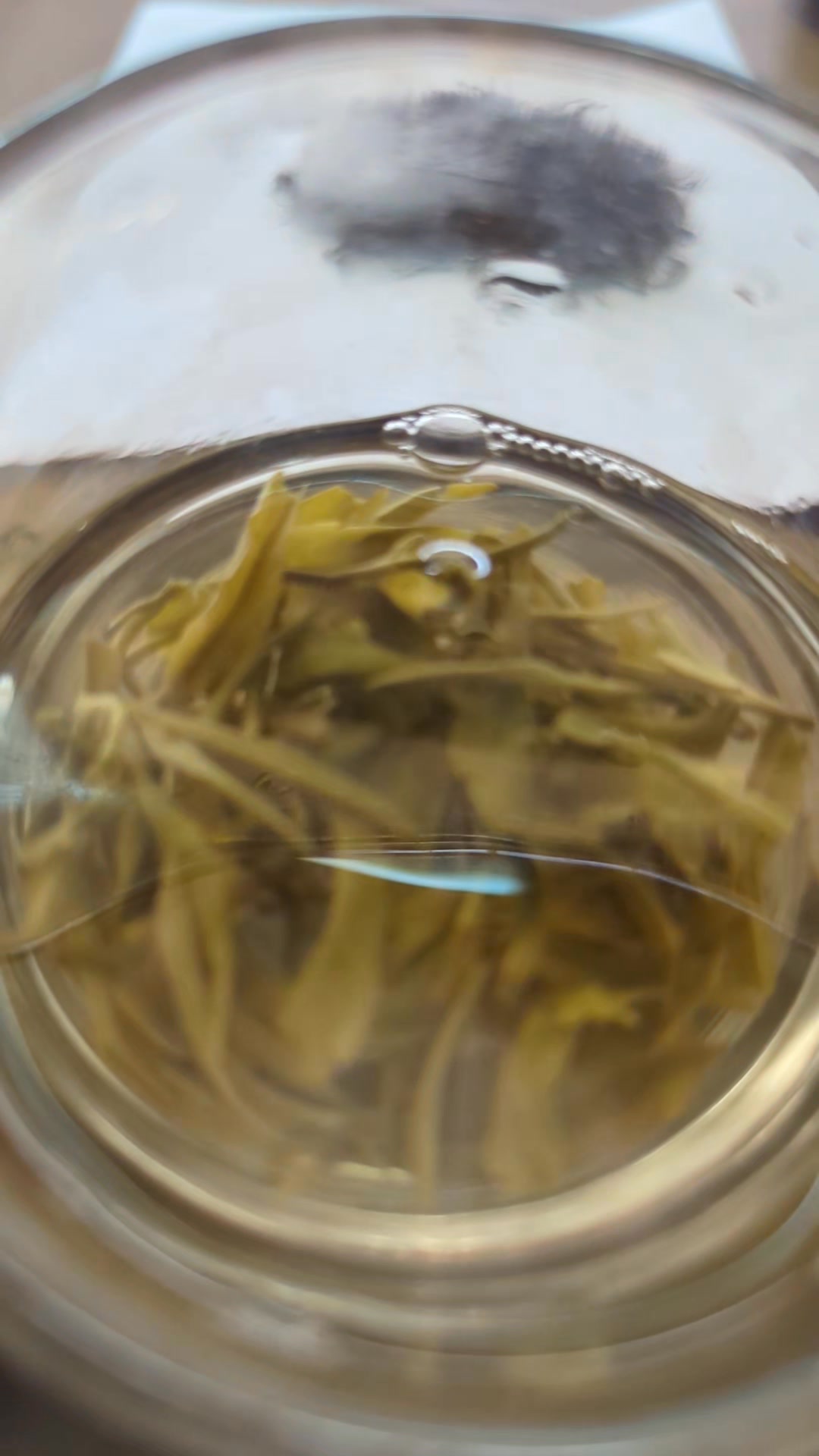 Padma Tea Supply, Srimangal | Moulvi Bazar