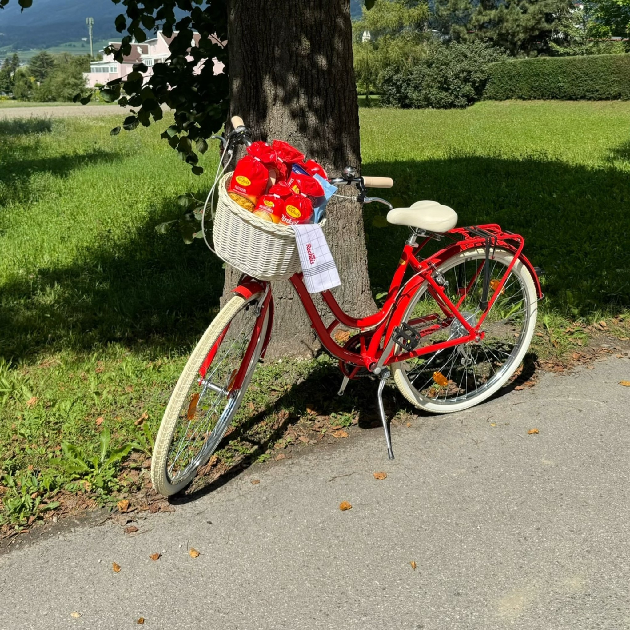 fahrradhandschuhe l LAMEDA 2066 mit Kühlstoff – Lameda Geschenk aus Holz Colour:Red Srup 1 Paar Fahrradgriffe,
