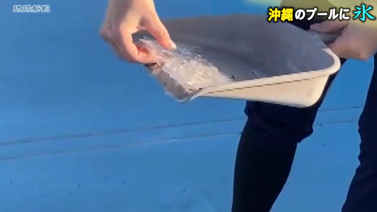 沖縄 プール 氷