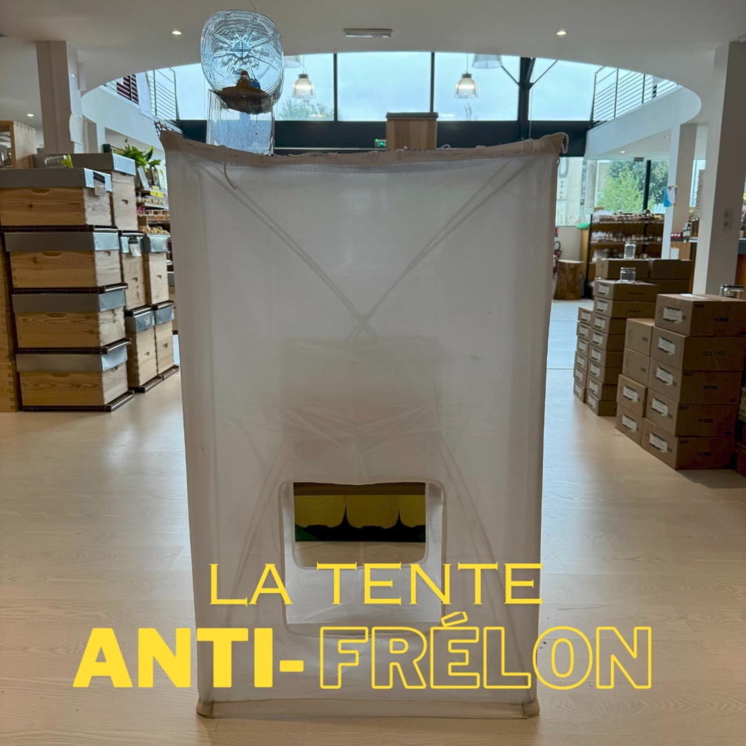 tente decathlon air Quechua Seconds Inflatable Camping Shelter 6 Person *Factory Secon – Extra Hundekissen:Mit Orthopädisches Hundekissen Grau Outdoor Research Backstop Sensor mizuno glove