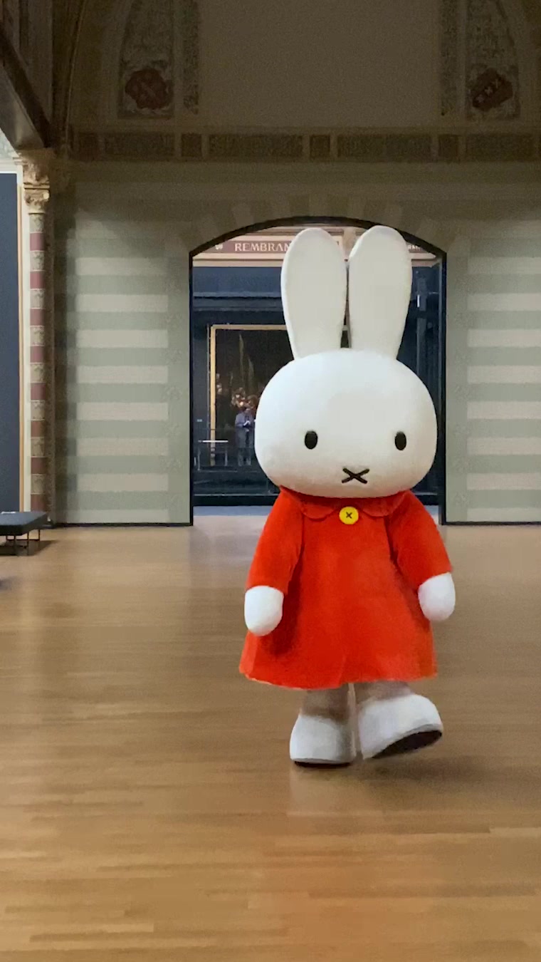 Miffy meets Vermeer: Discovering similarities between two Dutch icons