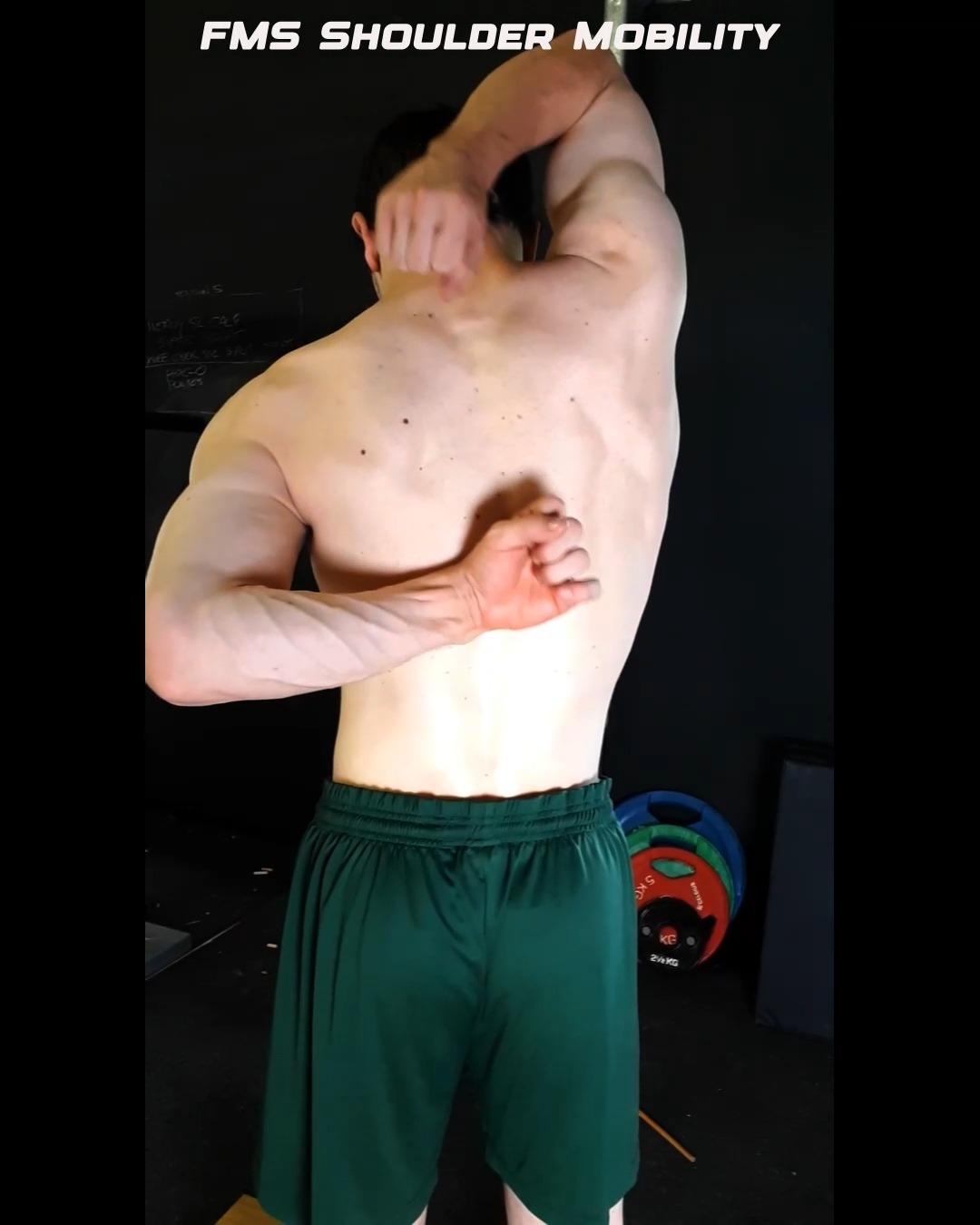 FMS Shoulder Mobility (Active Scapular Stability Test or Impingement ...
