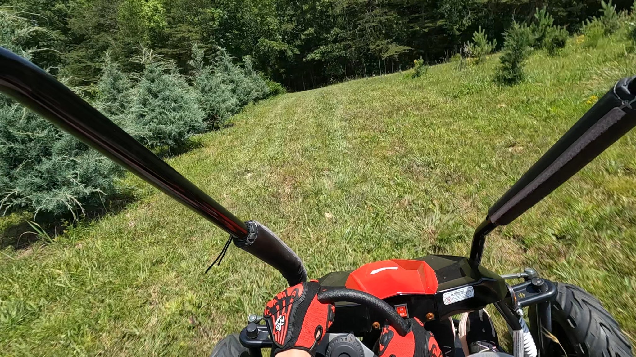Woods Tree Farm | Amelia Court House VA