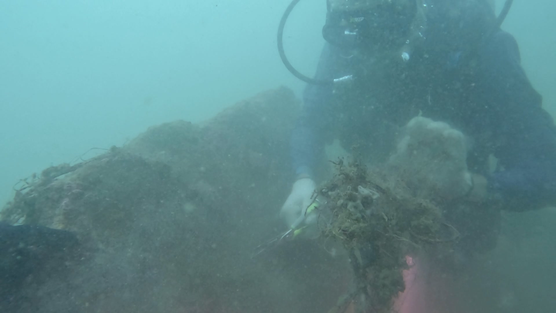 塑膠垃圾就係危害海洋生物的主兇😤 📹來源：IG@artefr #香港海洋保育協會 #海岸清潔馬拉松 #保護海洋人人有責 #海洋保育 #塑膠垃圾 ...