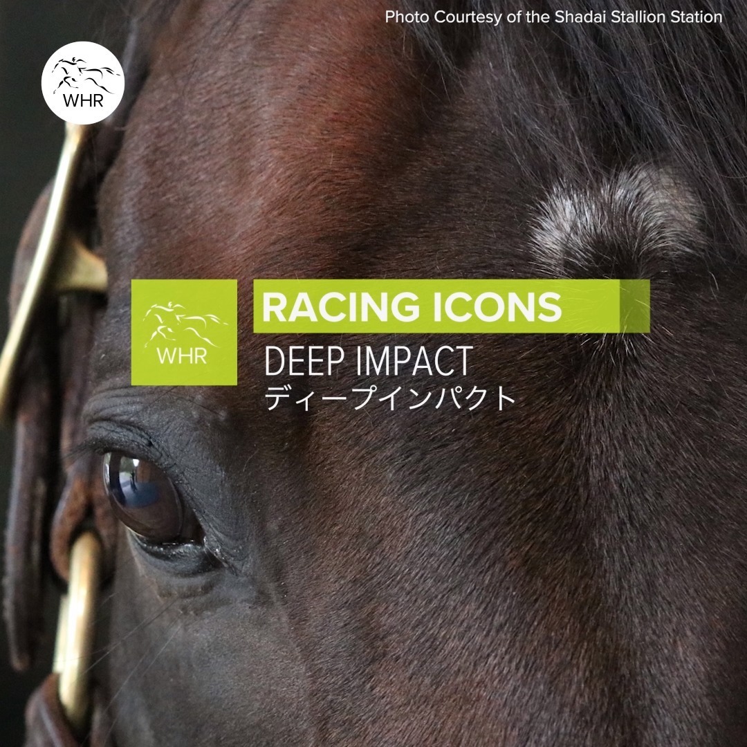 DEEP IMPACT is 17 now and still looking magnificent