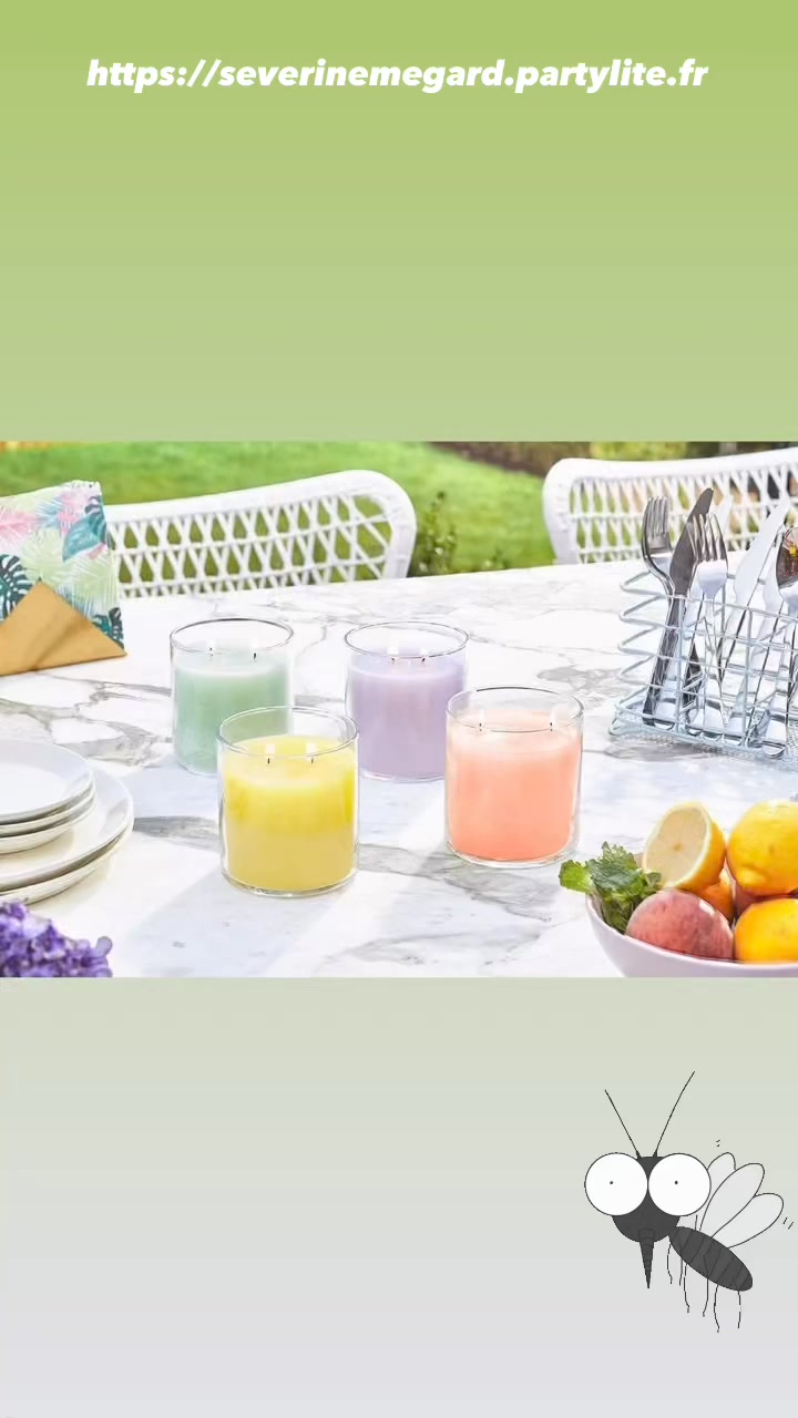 Galet De Cire PartyLite Jungle Citrus - Parfum D’ambiance - Neuf