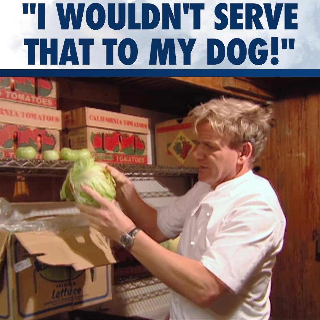 If it's no good for Gordon's dog it's no good for ANYONE! #GordonRamsay ...
