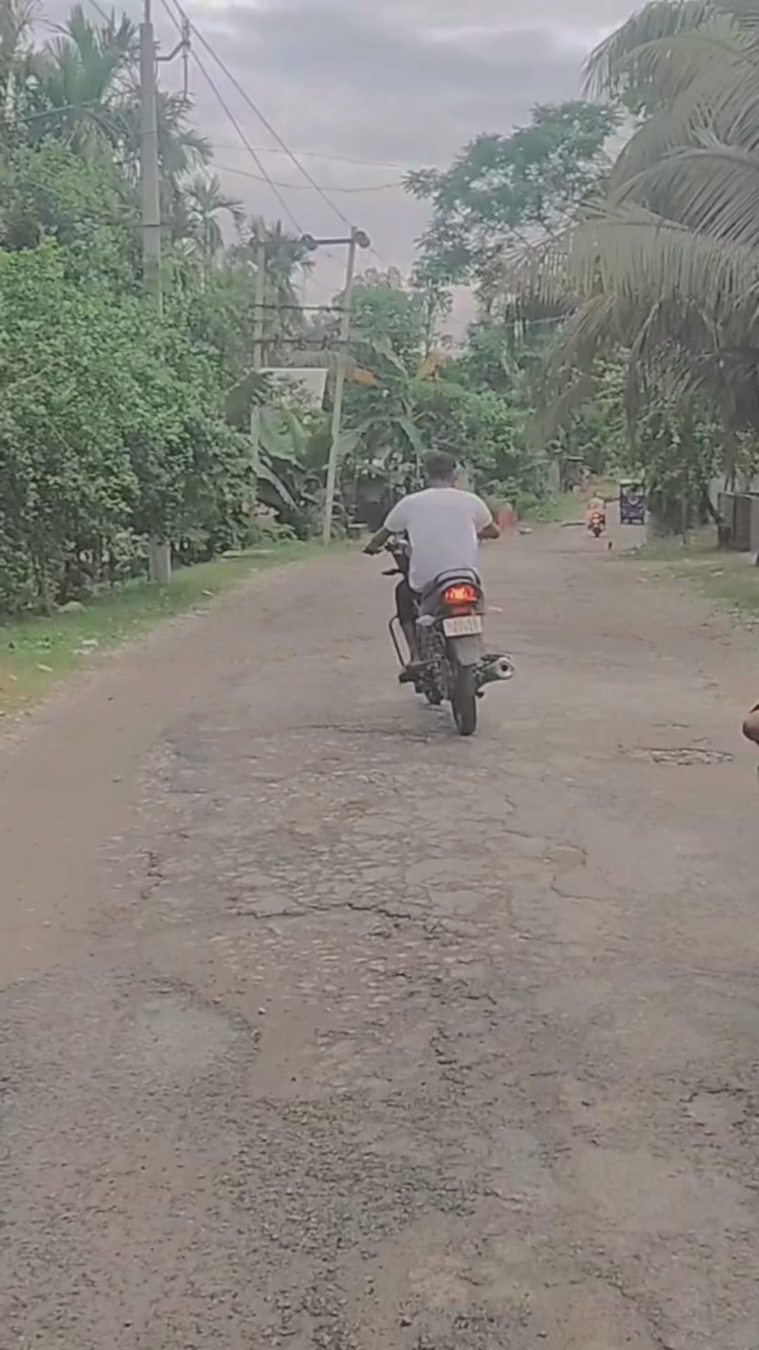 Habib Rider