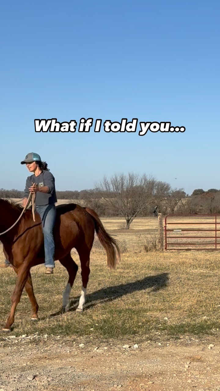 Through the process of seasoning a horse one variable stays the same 👉 ...