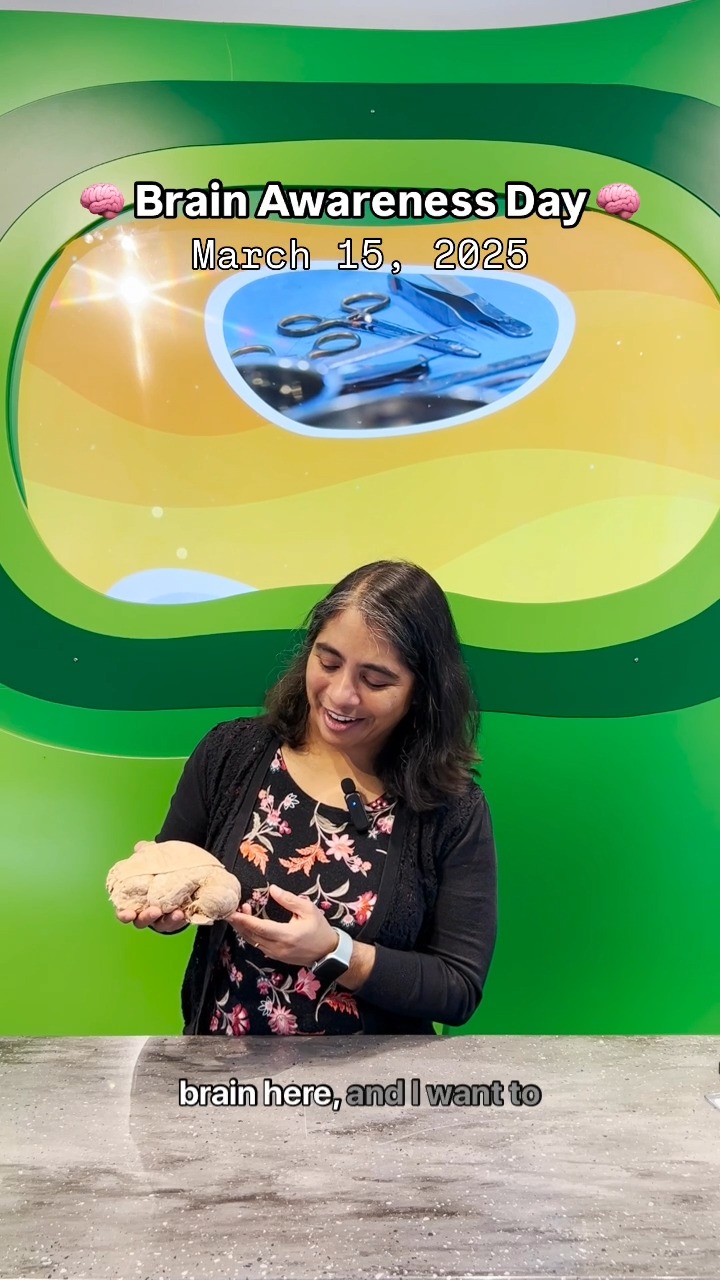 Get ready to unlock the secrets of the brain! 🧠 #BrainAwarenessWeek is ...
