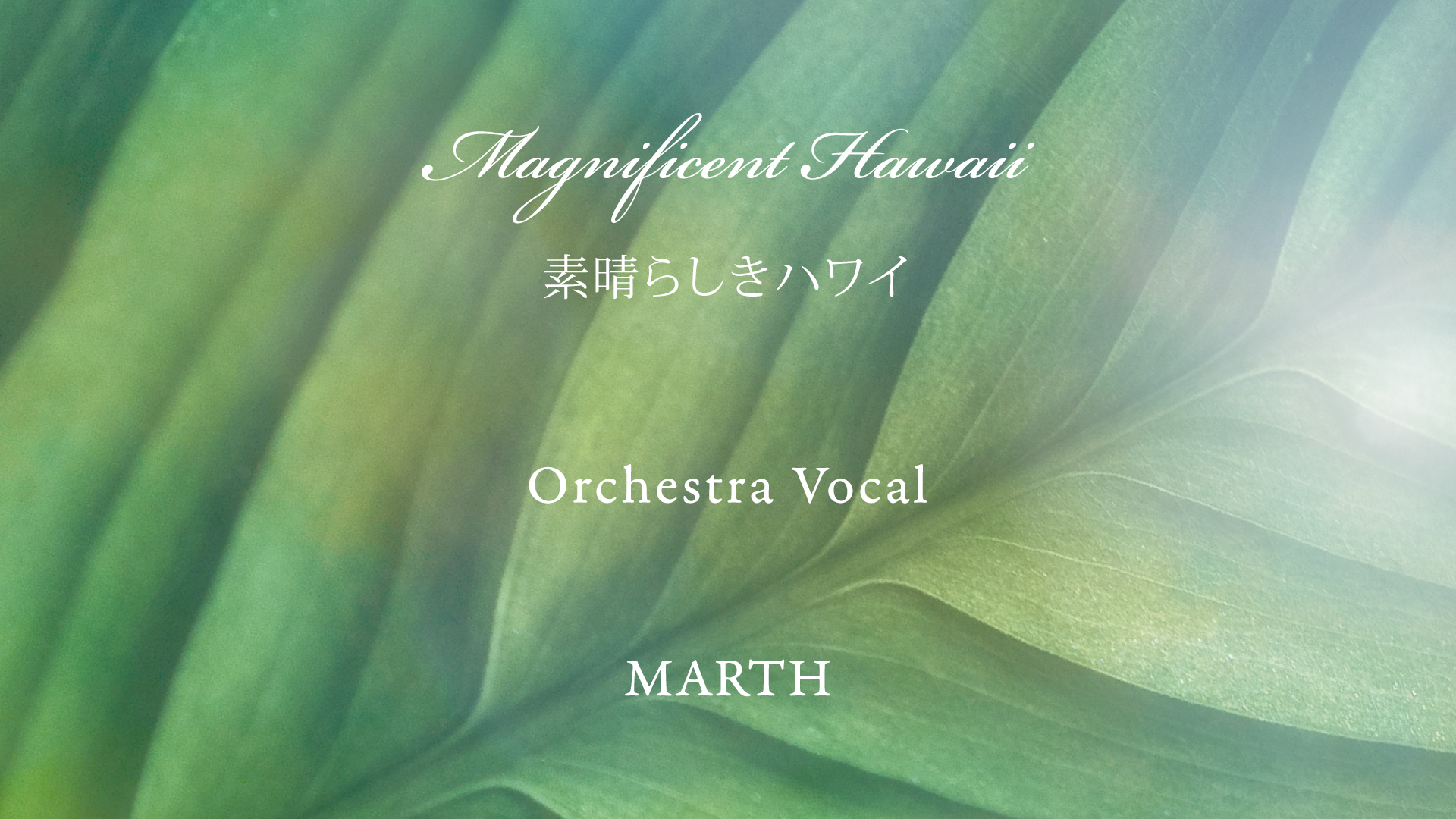 Kawehi Lindsey sings the Love Peace Harmony song in Hawaiian