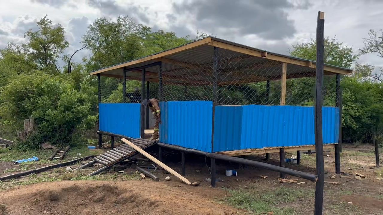 Project: Small Scale Goat Pen 📍 Location: Beatrice, Zimbabwe 🇿🇼 We’re ...