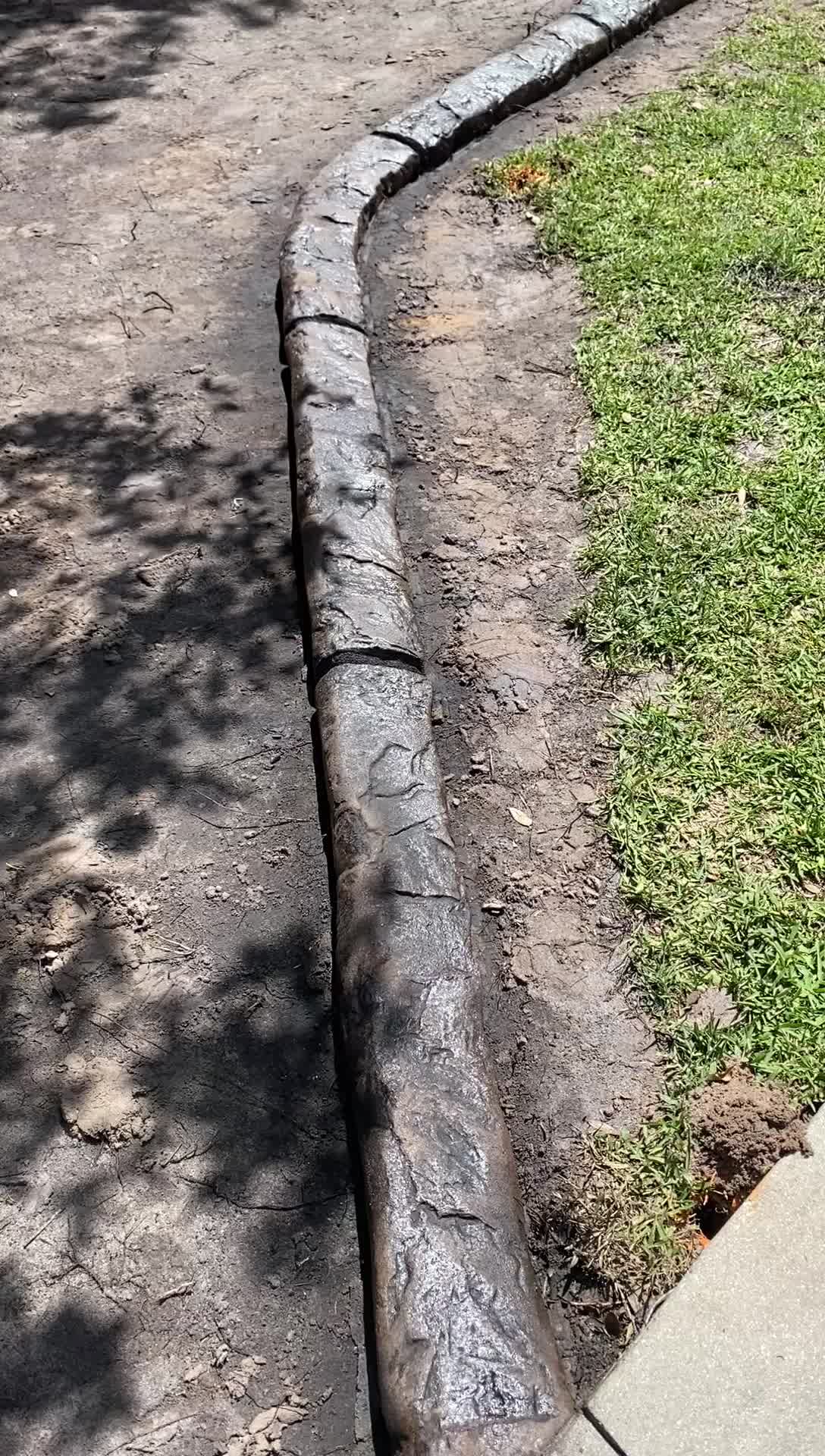 Tampa Curb Sharks | Saint Petersburg FL