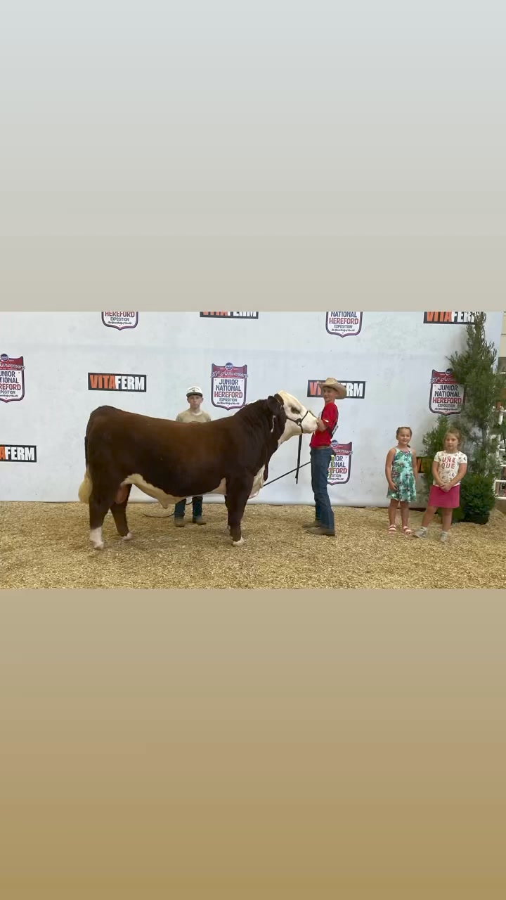 May yearling heifer FOR SALE: Out of a Big Country son that we have ...