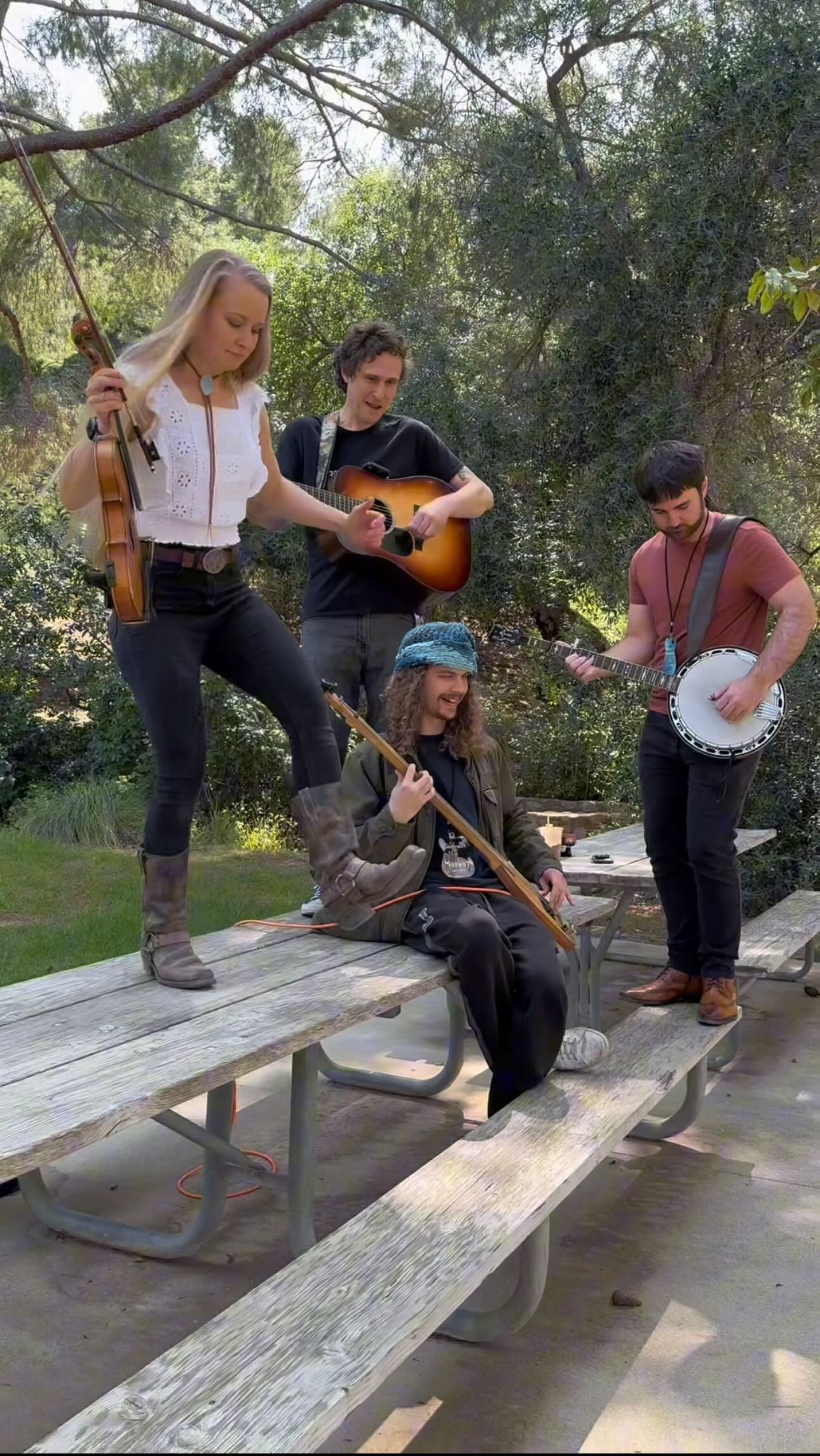 Down in the Willow Garden 🗡️🥀 @hillaryklug 🎻👣 @watertowerband 🪕 🎥 ...