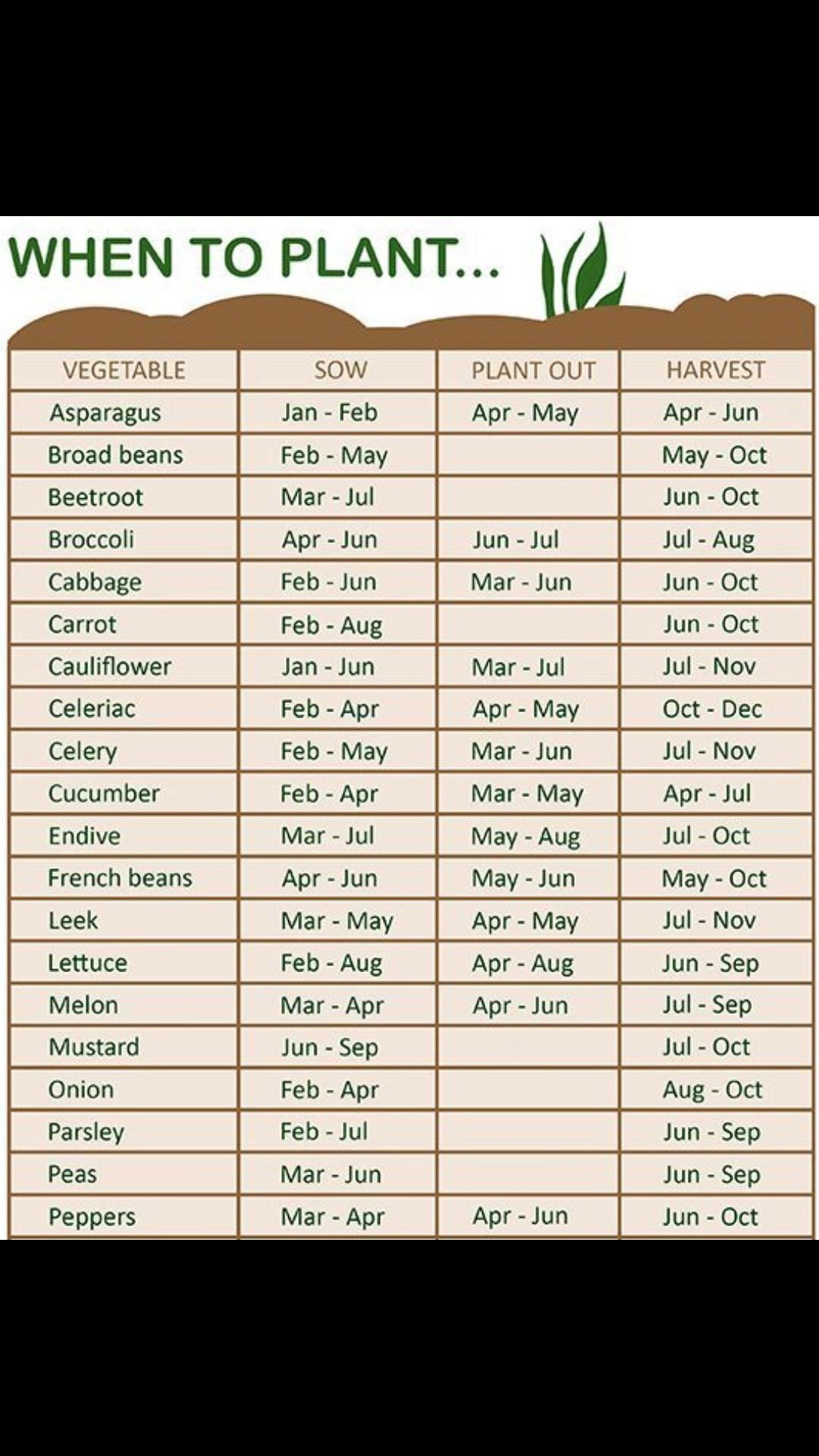 Unlocking Your Garden's Potential: A Planting Time Guide For Bountiful ...