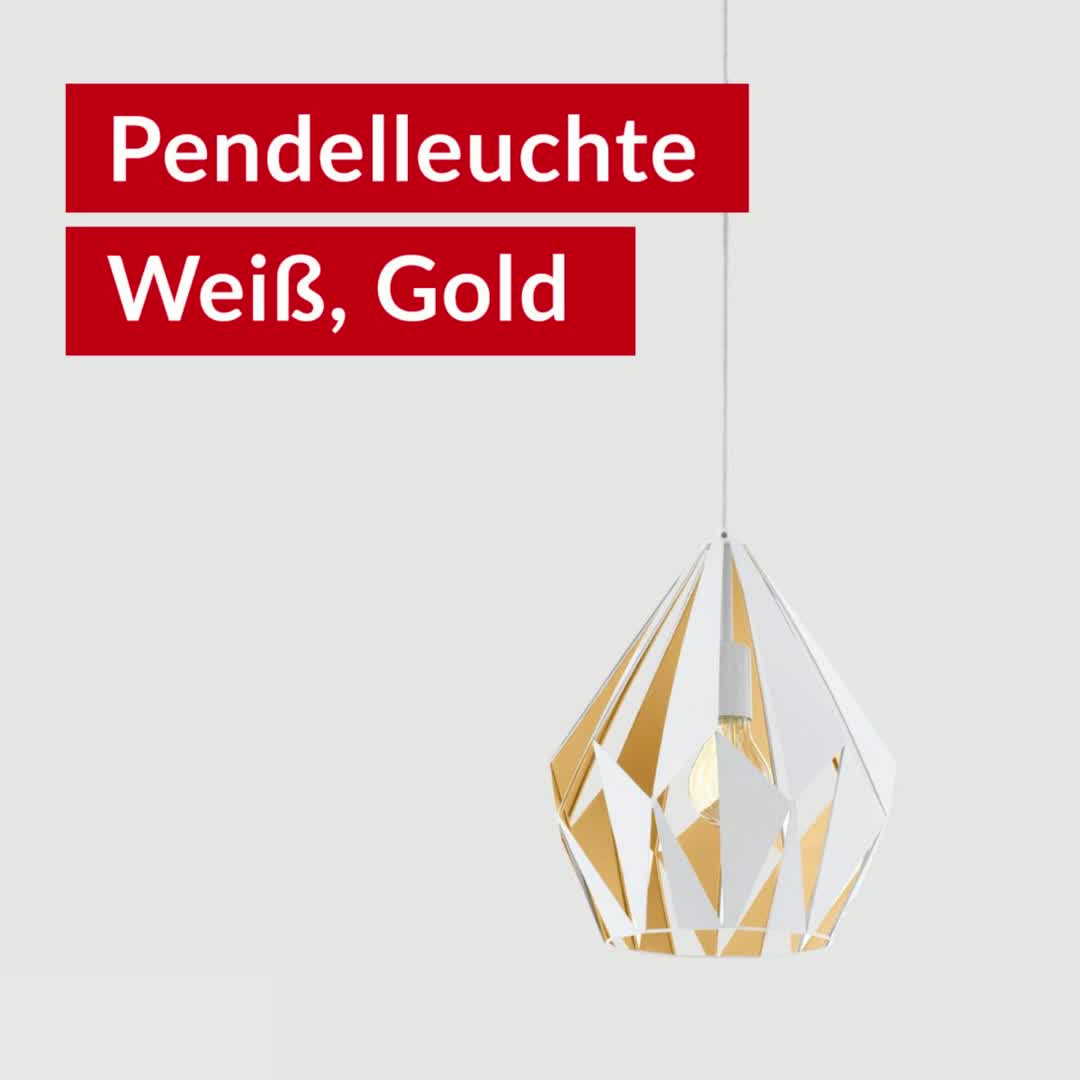 Frisch eingetroffen 🚨: Pendelleuchten z.B. mit modernem, grauem Beton-Lampenschirm, Tischleuchten oder raffinierte Deckenleuchten findest Du in unserem Online-Shop! 💡, 👉 https://bit.ly/Lampen-tedox