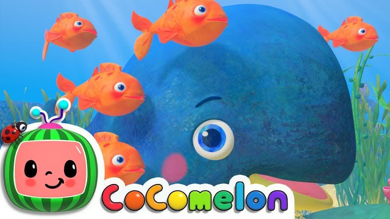 Baby Blue Whale Song | CoComelon Nursery Rhymes & Kids Songs cocomelon ...
