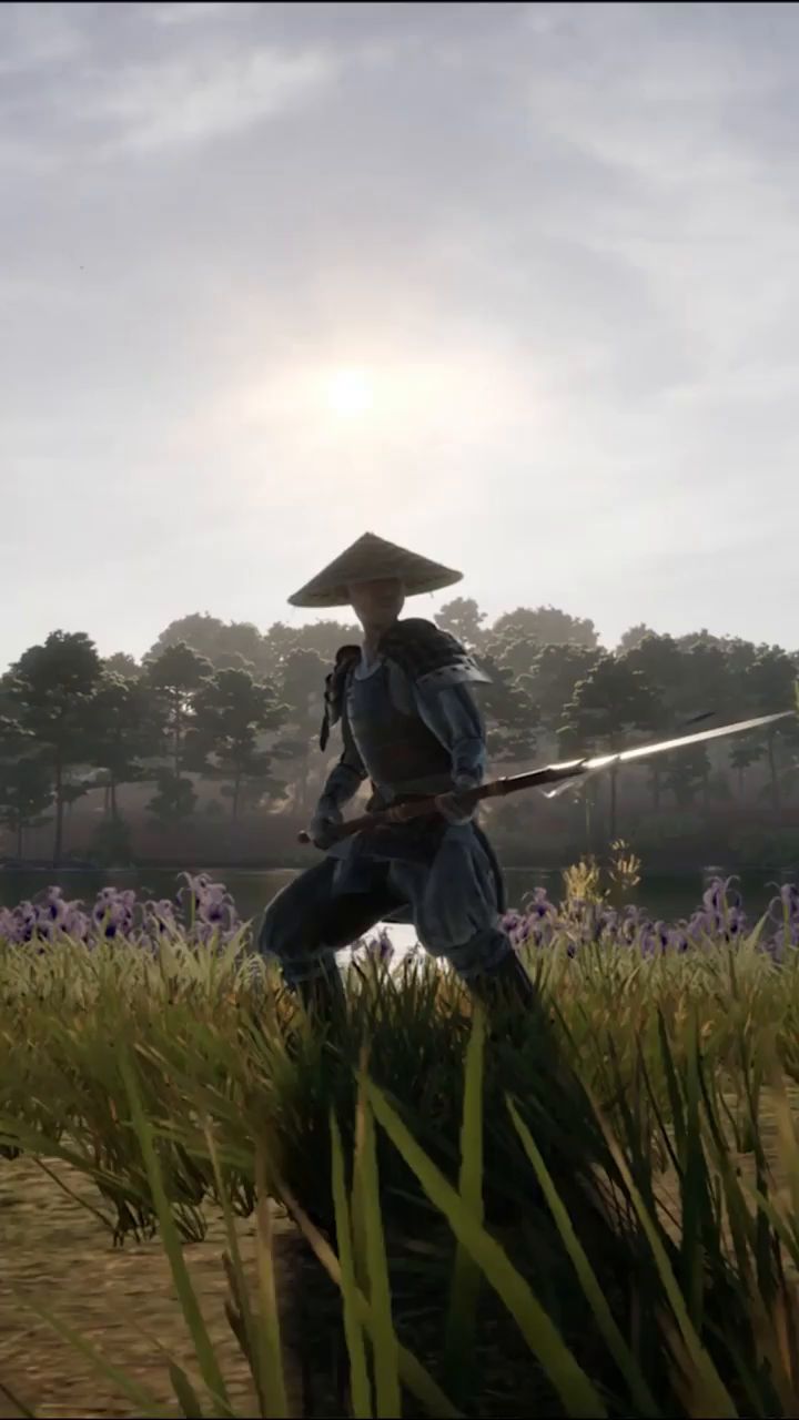 In the latest Sengoku Dynasty update, Ikigai, we've introduced new ...