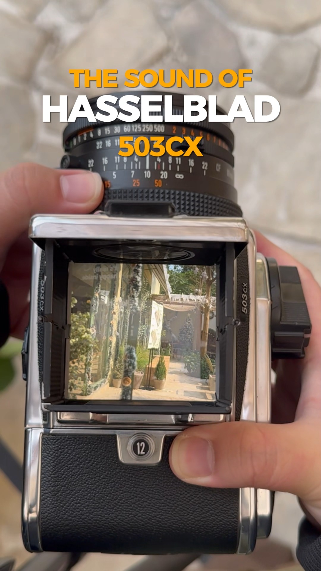 Hasselblad Classic 503CW Millennium Edition ✨ A commemorative