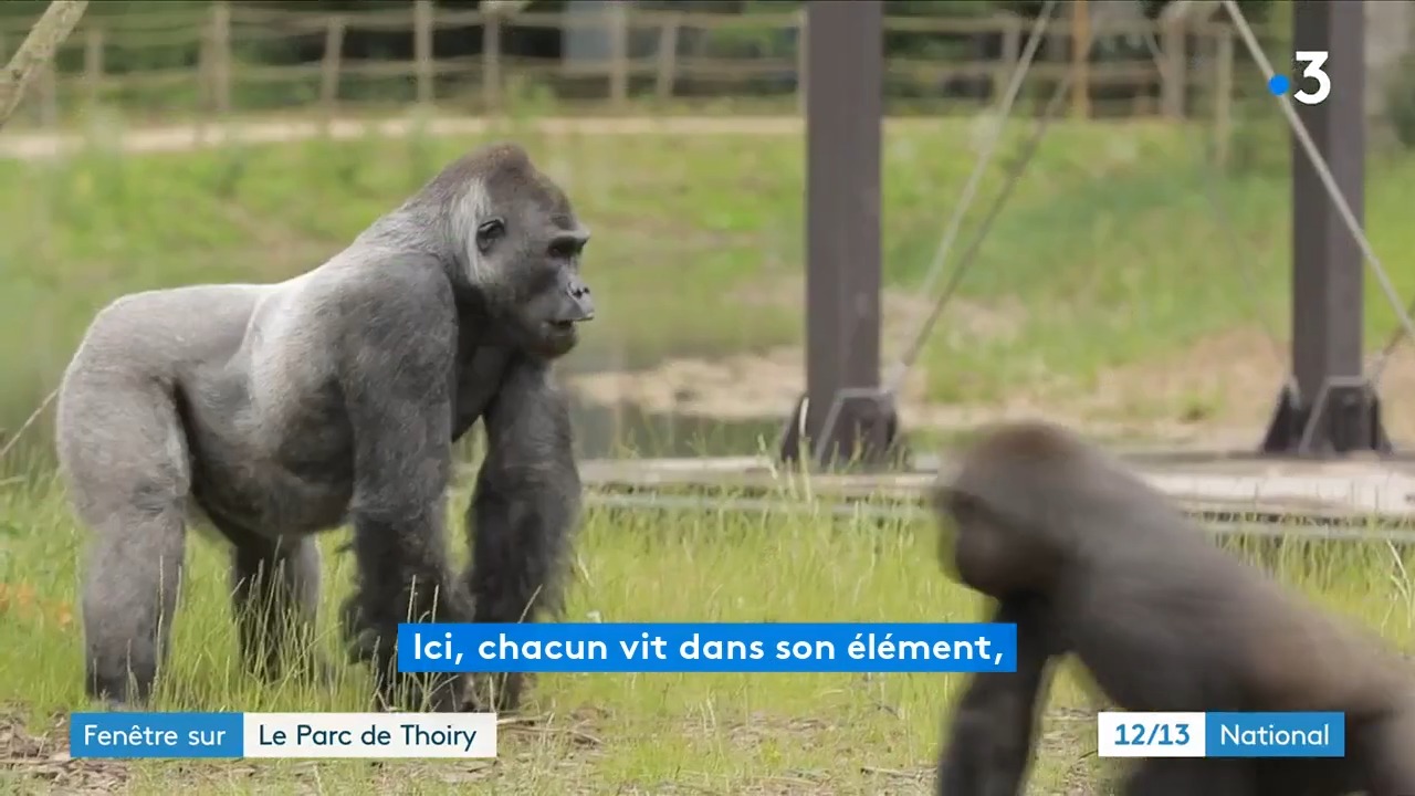 Info France 3 Tv Network Facebook