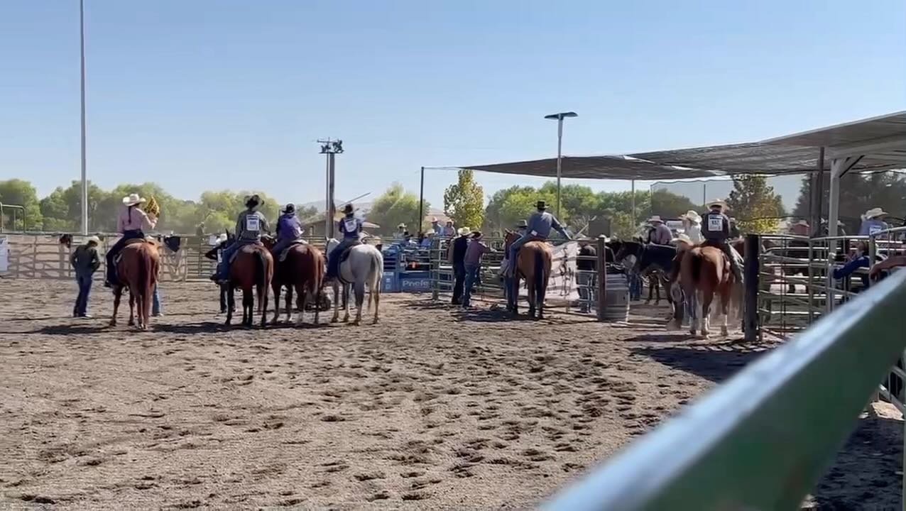 Zach Cobb showing his skill Heeling in the Team Roping competition this ...