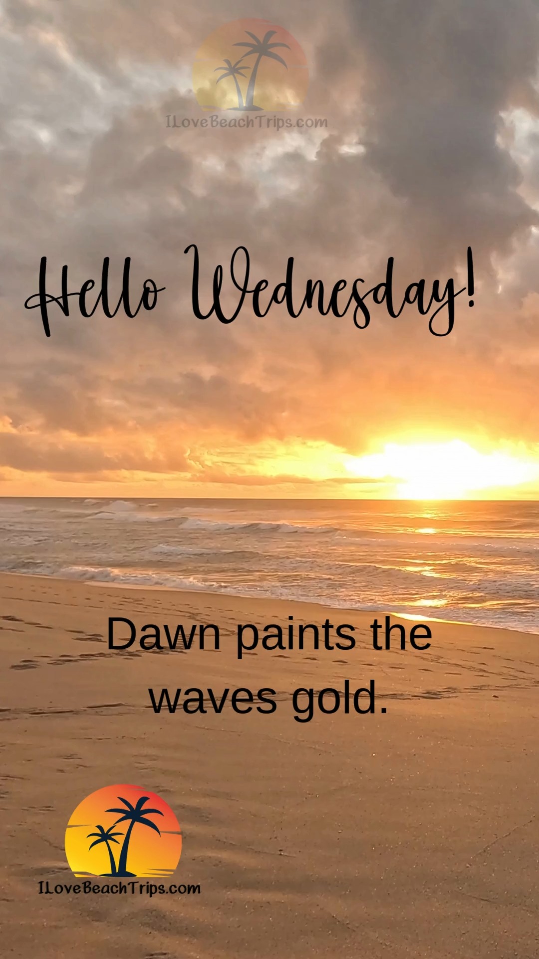 Dawn paints the waves gold. Hello Wednesday