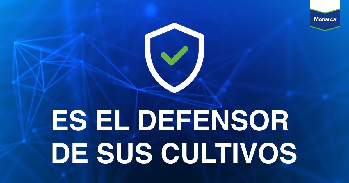 Monarca® 112,5 SE de #Bayer, es un insecticida que mezcla dos ...