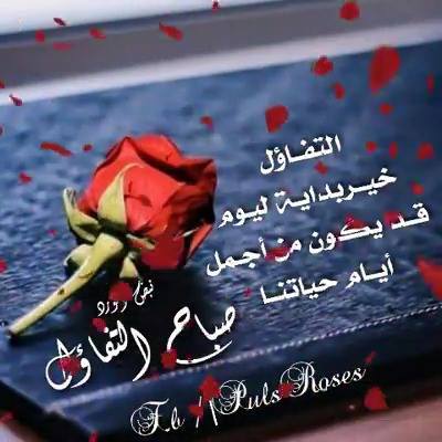 George Fakhoury A Twitter صباحك نور وسعادة وسرور وورد عطر منثور صباح النجاح والتوفيق