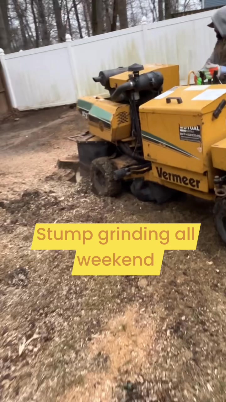 Midwest Tree Works | Crown Point IN