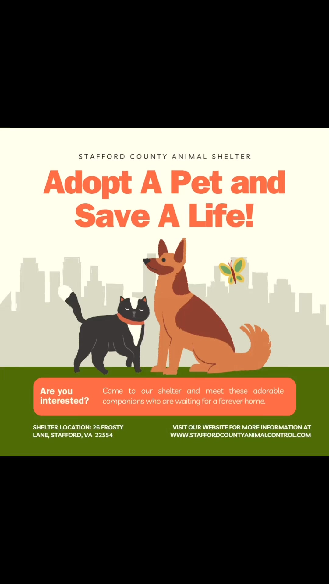 🐾 Adopt a Pet, Save a Life at Stafford County Animal Shelter! 🐾Right ...