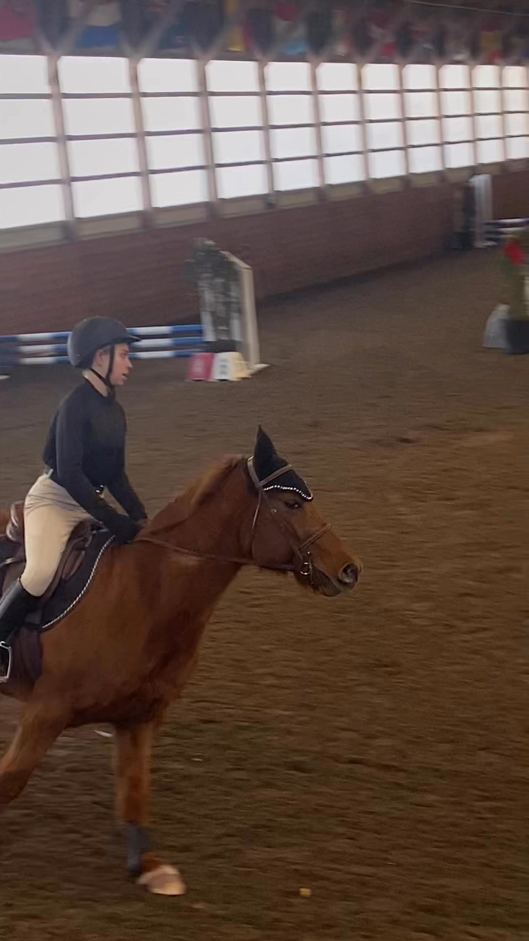 Hampton Equestrian Center LLC. | Birdsboro PA